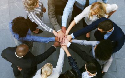 Le Teambuilding : Un Outil Essentiel pour le Succès de l’Équipe